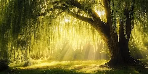 Talking through Grief, weekly with Conscious Clarity