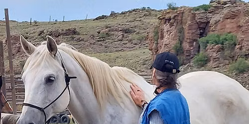 Shadow Work Through the Way of the Horse and Nature for Women