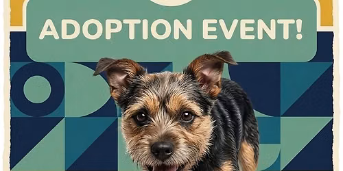 Find Your New Best Friend! June Dog Adoption Event 