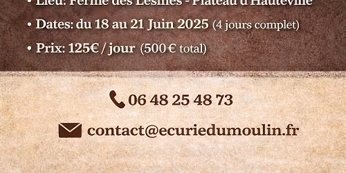 Stage Ranch Roping \/ Branding 