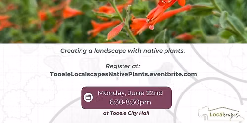 Localscapes Class