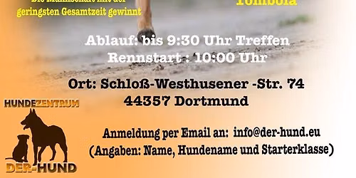 Hunderennen am 15.11.2026
