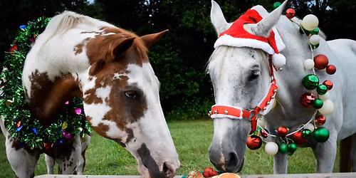 Holidays, Horses and Hope! Sponsored by the Miller Family in honor of Martha Miller <3