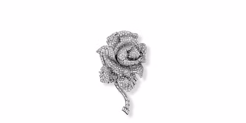 CARTIER | Relaxed Sessions \u2013 Morning