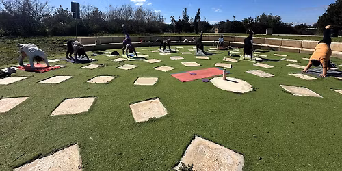Vinyasa Yoga Class at Family Park Marsaskala