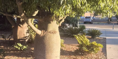 Bowden towards West Croydon and Return