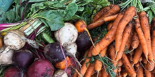 Conwy Farmers' Market \/ Marchnad Ffermwyr Conwy