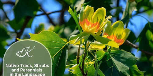 Native Trees, Shrubs, and Perennials in the Landscape
