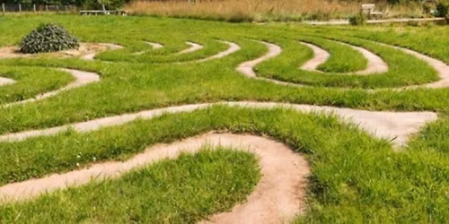 Summer Reflective Retreat at Dilston Physic Garden, Northumberland June 2026