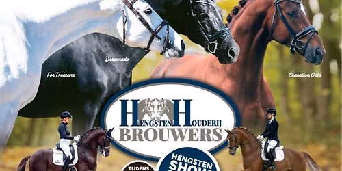 Hengstenshow Hengstenhouderij Brouwers