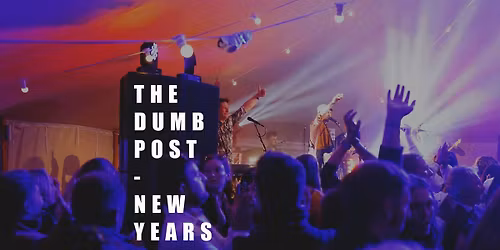 The Shadow Monkeys Live at The Dumb Post Inn - New Years Eve