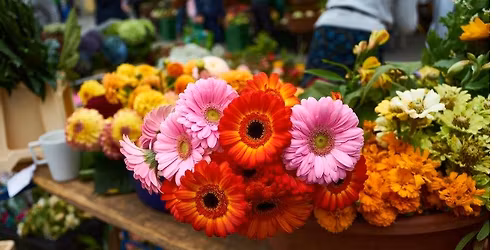 March\u00e9 au fleurs