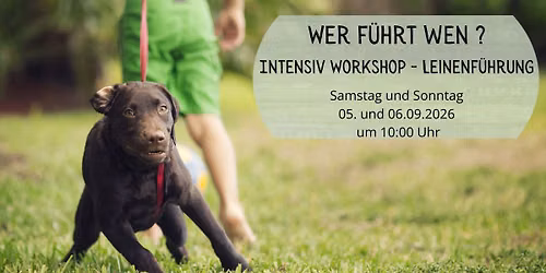 Intensiv Workshop Leinenf\u00fchrung
