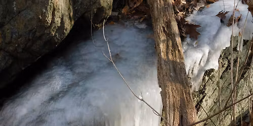 Rocky Run Geology Hike