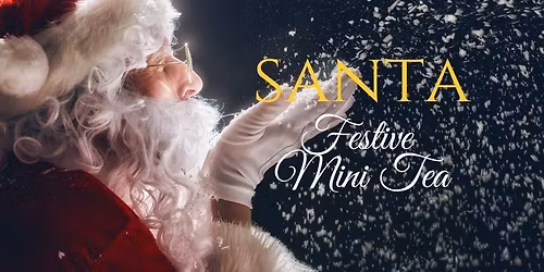 Festive Mini Tea With Santa