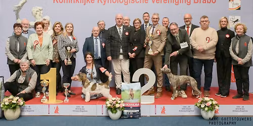 60ste Brabo Antwerp Dog Show