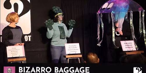 Bizarro Baggage