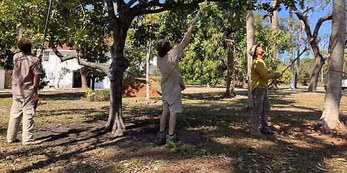 Presentation -Florida Native Plant Society - Restoration at the Eide Center