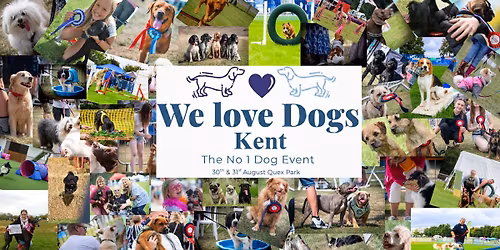 The Kent We Love Dogs 
