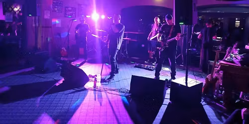 Live Music at the 7s Bar