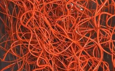 Friday Fused Glass: Vitrigraph Pull