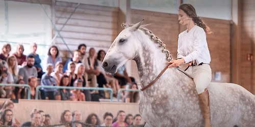Key to Horses - Lernen verbindet, Austausch inspiriert