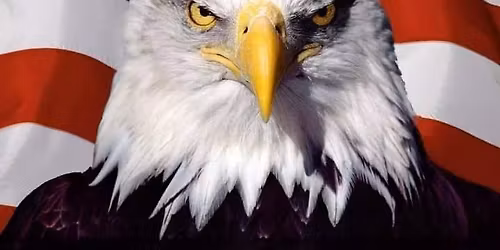 Veterans Q&A Series Get your hard questions answers.