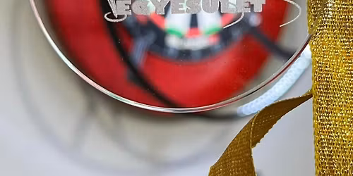 P\u00e1ros 501DIDO Darts Verseny