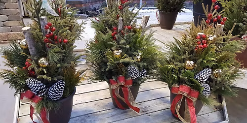 Berg\u2019s Nursery Winter Planter   Cost: $45