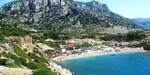 Balade nature découverte des émotions en milieu naturel