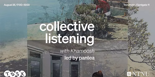 collective listening with Khamoosh and Trondheim communities led by pantea