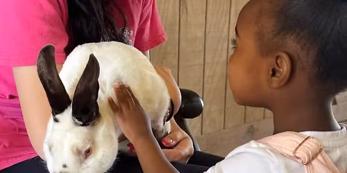 Toddler Tuesday with Branches Coffee Co.