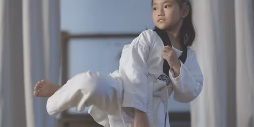 BG Jiu Jitsu Program