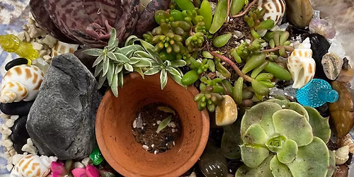 Open\/Succulent Terrarium Workshop