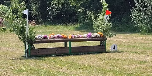 Arena Eventing\/Derby Show