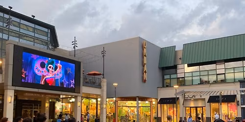 Movies On The Green Series | Hocus Pocus