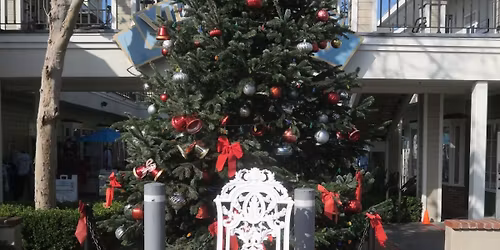 40th Annual Holiday Tree Lighting in Carlsbad Village\ud83c\udf84