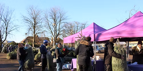 Christmas Tree Sales\ud83c\udf84