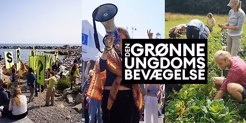 Introm\u00f8de i Den Gr\u00f8nne Ungdomsbev\u00e6gelse