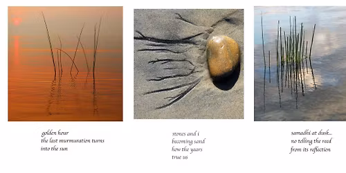 Hidden Glimmers: Weaving Contemplative Photography and Haiku