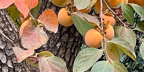 Feministispedagogisia aikalaiskeskusteluja