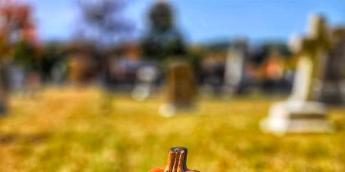 Annual Meeting of the Cemetery Company