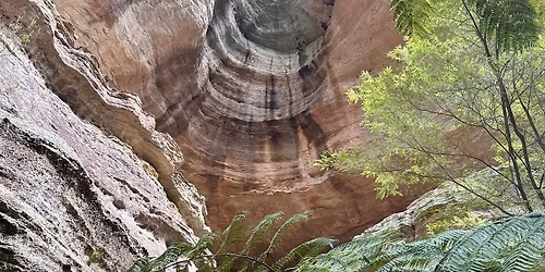 Glow Worm \/ Valley of Dinosaurs Trekking Weekend