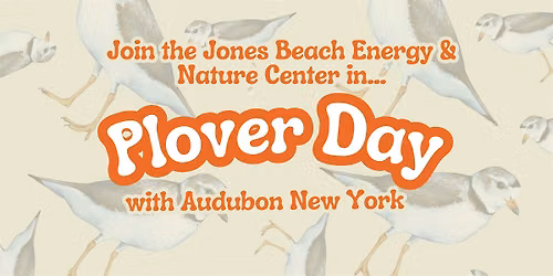Plover Day (All Ages)