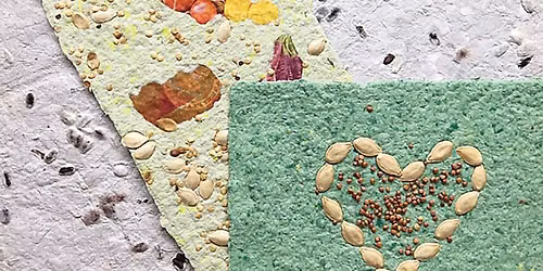 Teen DIY: Seed Paper