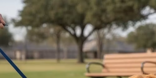 Handling Off Leash Dog Encounters