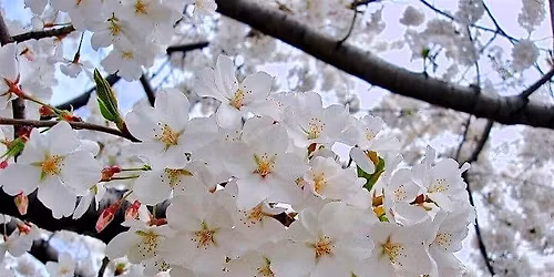 MyCareerCloset Partner Happy Hour