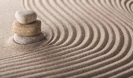 Stage d\u00e9couverte MUNZ FLOOR