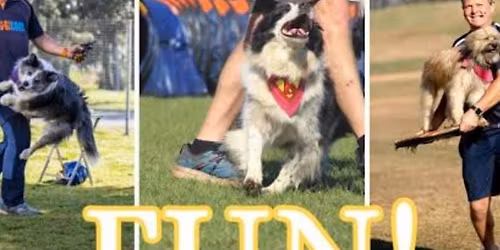 The Incredible Dog Show 