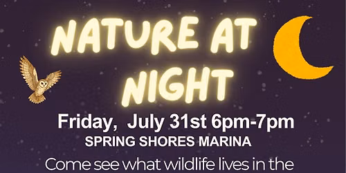 Nature at Night